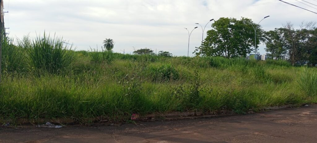 Sem manutenção, matagal 'engole' praça dos bairros Jardim das Cerejeiras e Trevisso