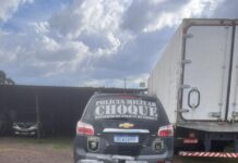 Cão de faro do Choque localiza mais de 230 quilos de maconha em fardos de corda