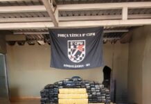 Mais de 640 kg de maconha são apreendidos em veículos abandonados na MS-162