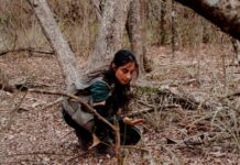 Professora da UFMS é premiada nacionalmente pelo CNPq por pesquisas em biomas