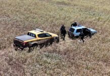Fuga na MS-164 termina com 437 quilos de maconha apreendidos em lavoura de soja