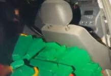 PM intercepta carro com mais de meia tonelada de drogas na BR-163