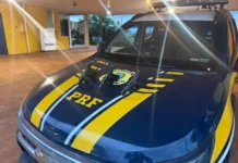 Mulher é presa com três pistolas amarradas ao corpo em ônibus na fronteira de MS