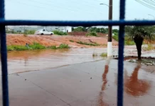 Chuva passa dos 100 mm na Capital e provoca quedas de árvores e alagamentos