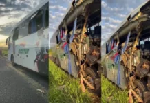 Vídeo: passageira de 65 anos morre após ônibus bater na traseira de bitrem na BR-267