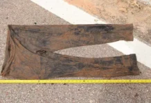 Durante roçada às margens da BR-359, trabalhadores encontraram ossada humana