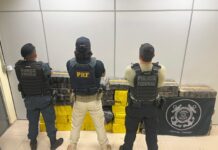 Mais de meia tonelada de maconha foi apreendida em veículo abandonado na BR-376