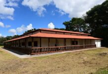 Conexão sem fronteira: espaço aberto ao público durante COP15 vai receber debates e atividades culturais