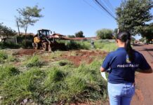 Dourados inicia limpeza de terrenos baldios após descumprimento de notificações