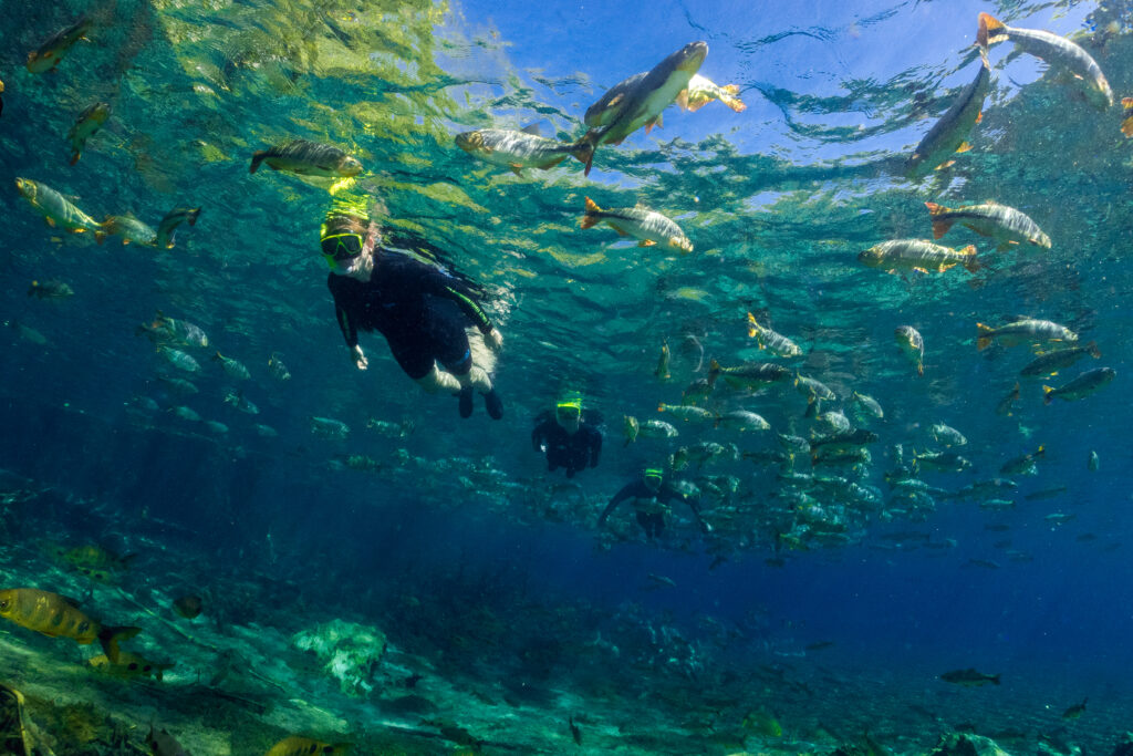 Flutuação no Recanto Ecológico Rio da Prata é finalista do prêmio 'O Melhor do Turismo Brasileiro'