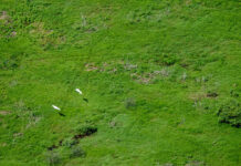 Prefeitura de Corumbá amplia segurança jurídica e reformula sistema de licenciamento ambiental