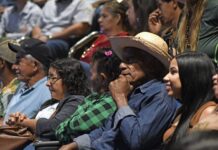 MS Trifásico leva energia ao campo e impulsiona agricultura familiar no Estado