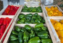 Pimentão: O toque de cor e sabor que não pode faltar na mesa de Páscoa