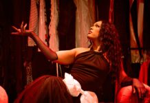 Inédito no Brasil: espetáculo de vogue da Hands Up MS, entra em turnê nacional pelo Palco Giratório