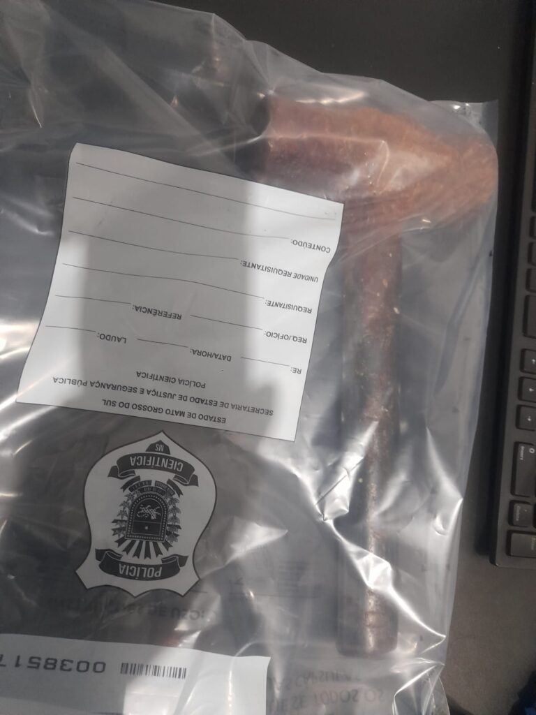 Subtenente do Corpo de Bombeiros é preso ao acertar marreta na cabeça da esposa Subtenente do Corpo de Bombeiros é preso ao acertar marreta na cabeça da esposa