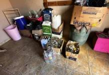 Casal mantinha produção de bebidas falsificadas em casa no bairro Zé Pereira