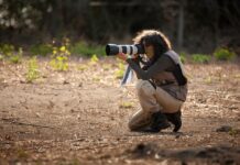 Herança da terra: pesquisadora da Capital ganha destaque na COP15