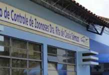 MPMS e Polícia Civil investigam suposto extermínio de animais no CCZ de Campo Grande