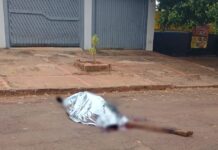 Briga termina com homem morto a golpes de madeira em Campo Grande