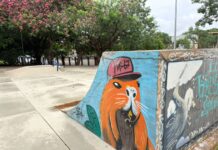 Pista de skate da Arena do Horto é revitalizada e volta a receber praticantes