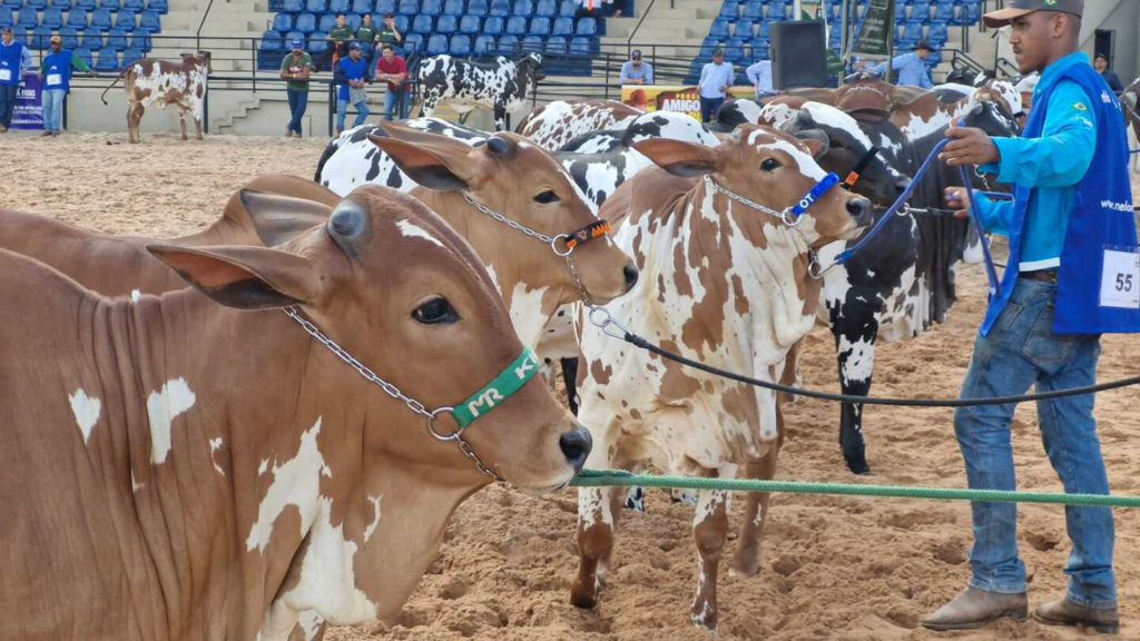 Acrissul promove a 86ª Expogrande de 9 a 19 de abril na Capital Acrissul promove a 86ª Expogrande de 9 a 19 de abril na Capital