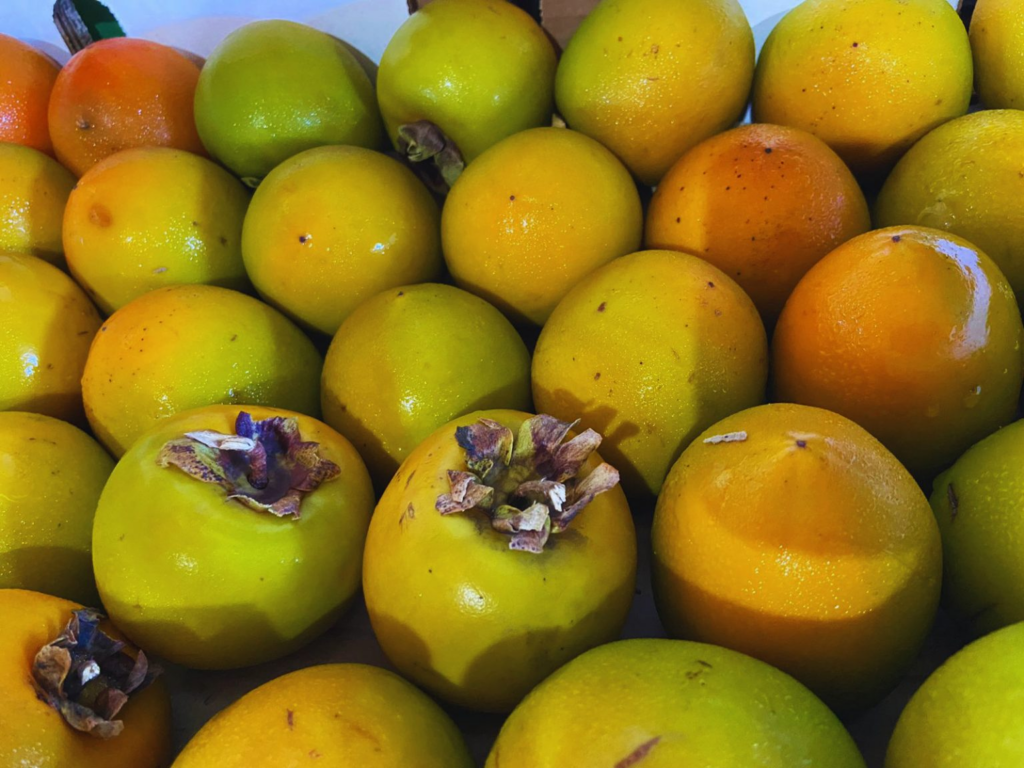 Você gosta de caqui? Então aproveite: estamos na época da safra!