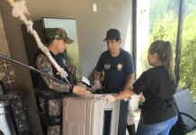 Vídeo: macaco-prego é resgatado de cozinha de imóvel no bairro Parque dos Poderes