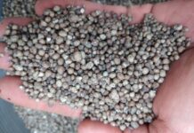 Importação de fertilizantes recua mais de 57% em Mato Grosso do Sul no início de 2026