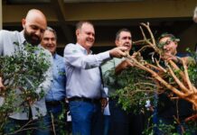 Para fortalecer cadeia produtiva da laranja, Riedel participa de remoção simbólica de murtas na Expogrande