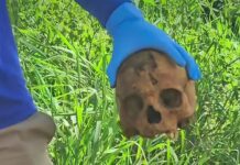 Crânio humano é achado em terreno baldio no bairro Mata do Jacinto