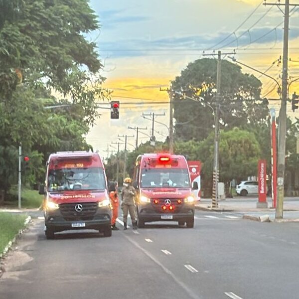 Sargento e soldado da PM são picados por enxame durante ataque no bairro Coophavila 2 Sargento e soldado da PM são picados por enxame durante ataque no bairro Coophavila 2