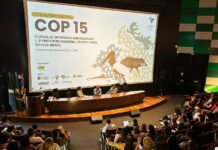 Semades inicia estudo sobre influência de grandes eventos na Capital