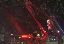 Ataque de abelhas deixou policiais, mulher e crianças feridos no bairro Coophavia 2