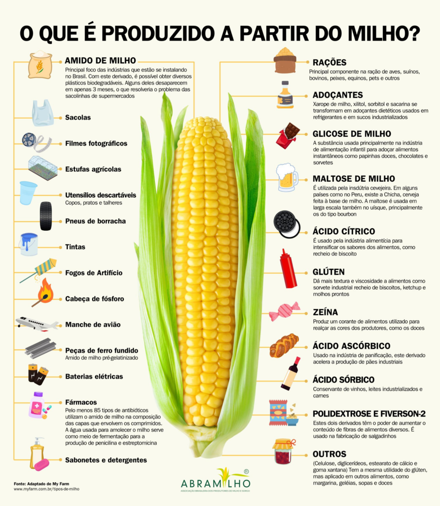 Hoje é dia do milho! Símbolo da cultura e da economia nacional; veja benefícios e receitas