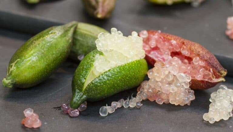Limão caviar conquista chefs e custa até R$ 1,2 mil o quilo no Brasil