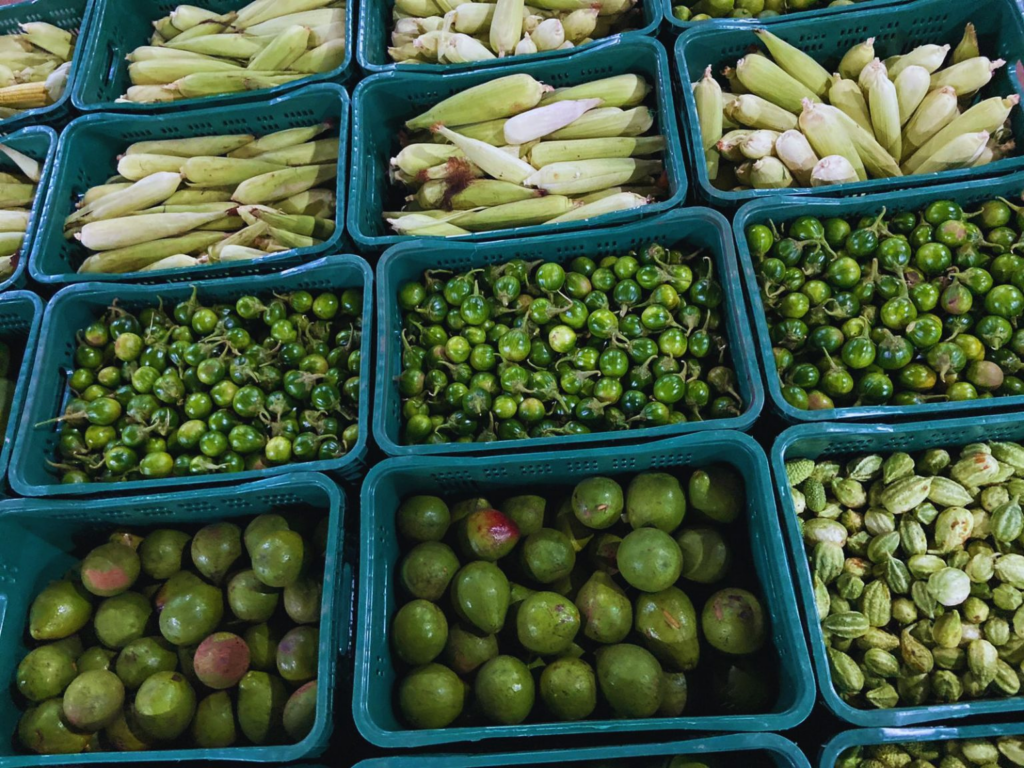 Agricultura familiar fortalece abastecimento na Ceasa/MS e impulsiona produção do Assentamento Itamarati Agricultura familiar fortalece abastecimento na Ceasa/MS e impulsiona produção do Assentamento Itamarati