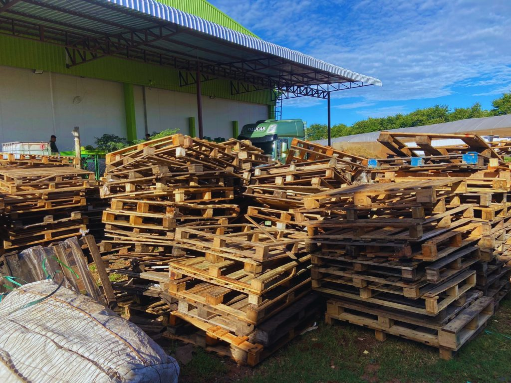 Gestão de resíduos transforma descarte em sustentabilidade na Ceasa/MS