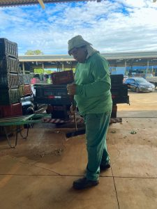 Gestão de resíduos transforma descarte em sustentabilidade na Ceasa/MS