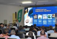 Expogrande 2026, terça-feira marcada por conteúdo técnico, inovação e leilões de destaque