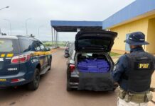 PRF apreende quase meia tonelada de maconha na BR-163