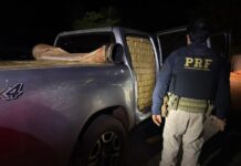 PRF apreende mais de 2 t de maconha em caminhonete roubada na BR-267