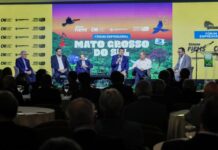 MS cria cenário industrial de sucesso, com geração de empregos e destaque nacional