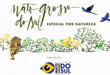 ‘Mato Grosso do Sul: Especial por Natureza’ faz ativações na Av. Paulista e evento de negócios no MASP