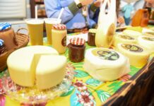 9ª Festa do Queijo marca tradição e sabores em Rochedinho