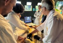 Parceria entre Bioparque Pantanal e UFMS garante cuidados preventivos em serpentes e arraias
