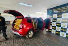 DOF apreende mais de 1 tonelada de maconha e recupera carro roubado em Dourados