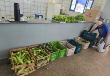 Prefeitura de Dourados leva alimentos do PAA para idosos e famílias atendidas em espaço comunitário