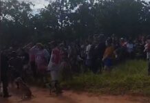 Grupo de mais de 50 indígenas reivindica posse de área em Campo Grande