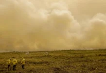 Crise climática já afeta rotina de 8 em cada 10 brasileiros, aponta levantamento