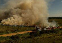 Bombeiros realizam queima controlada para prevenir incêndios florestais em MS
